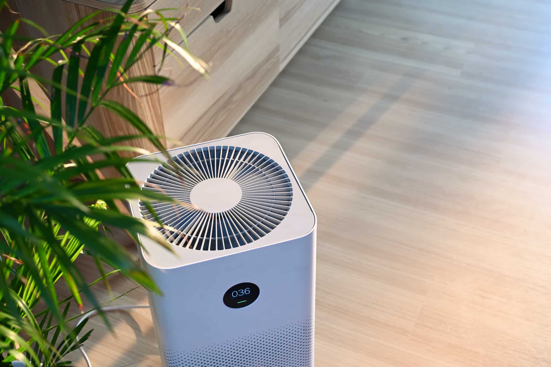 Air cleaner on a living room floor