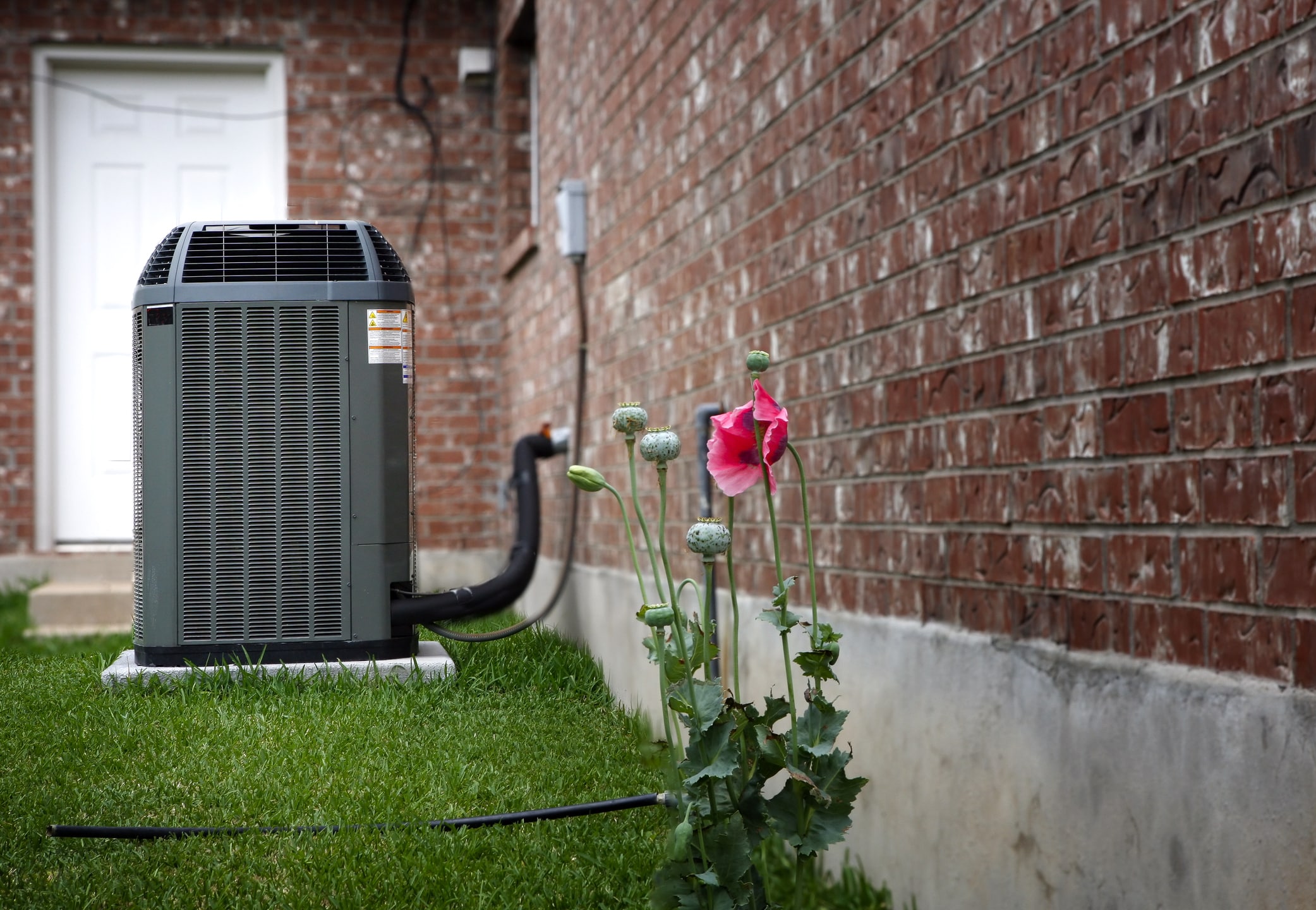 Air conditioning unit outside a brick home with a pink flower in the forefront