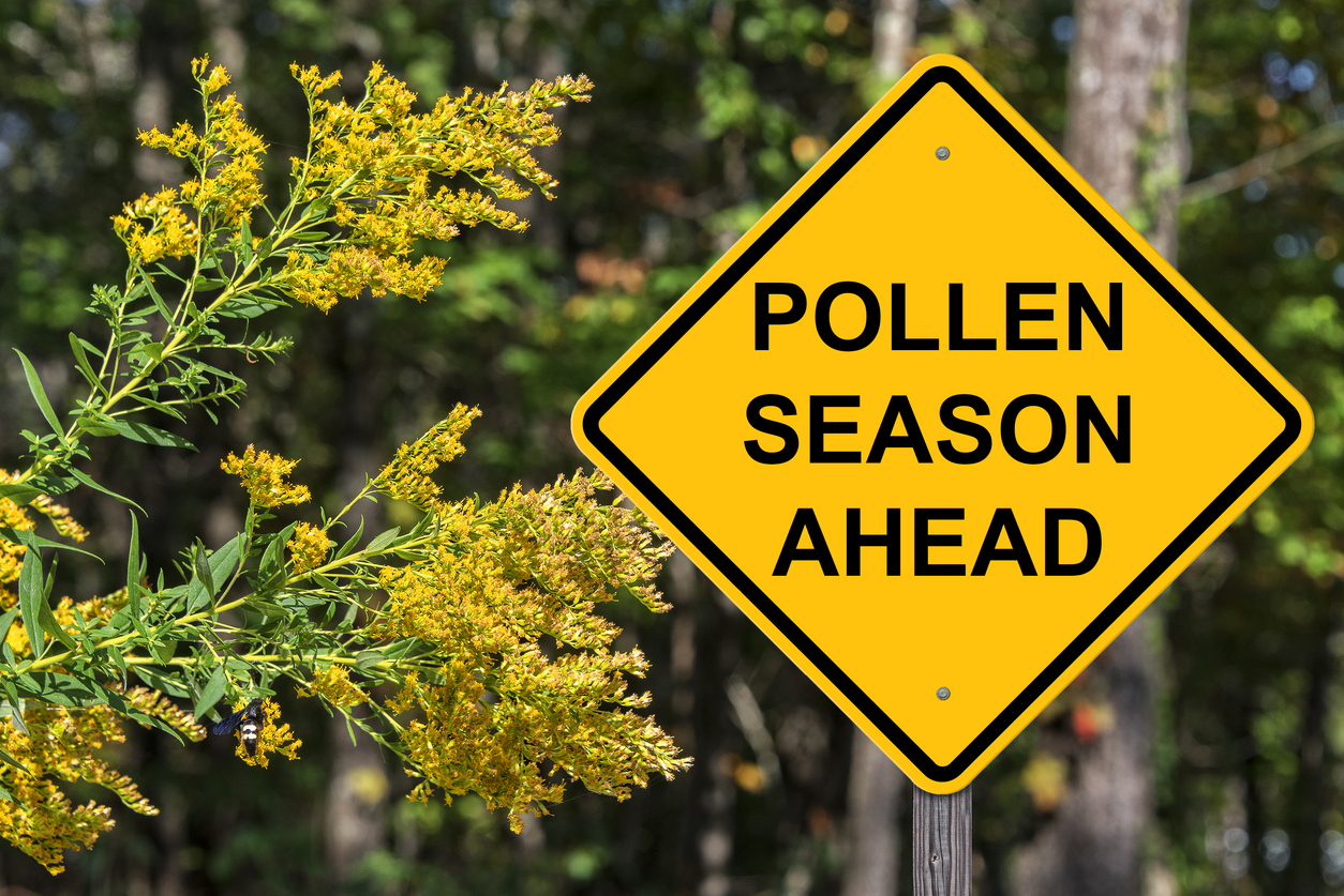 How To Ease Your Spring Allergies? A Guide